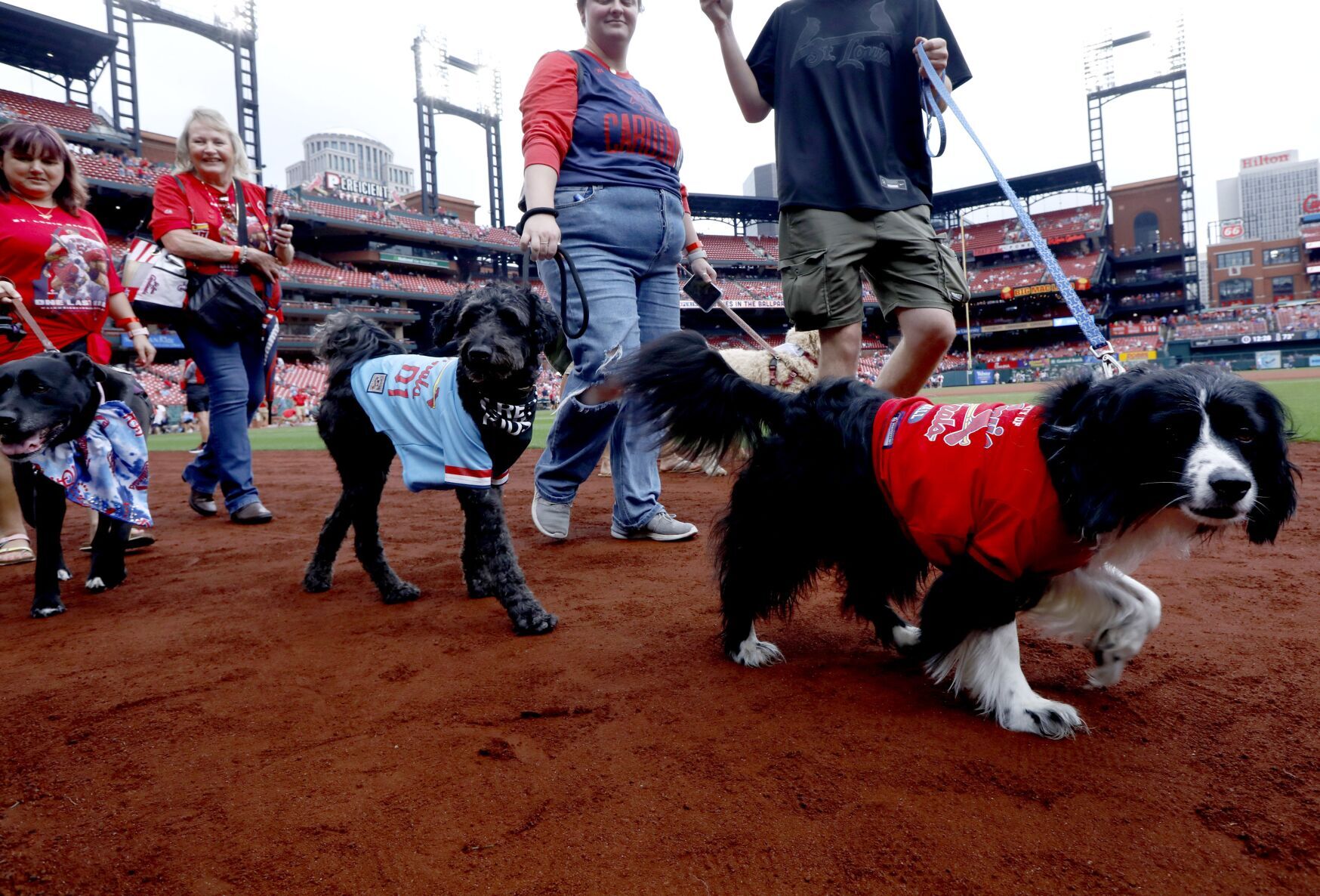 St. Louis face Chicago Cubs Sunday